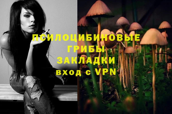jwh Медногорск